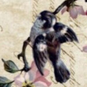 Profile photo of Andrea