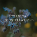 Group logo of Botanical Constellations