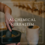 Group logo of Alchemical Herbalism